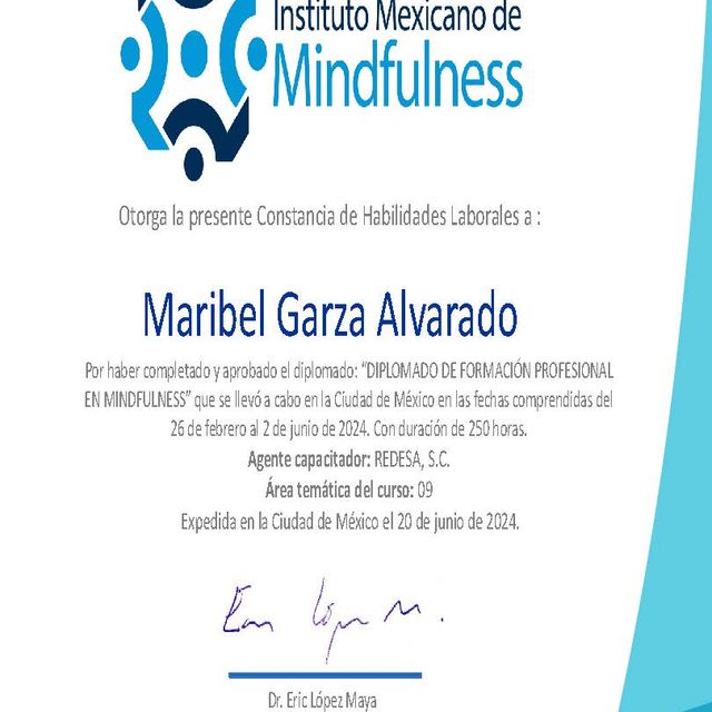 Ampliar imagen: certificate 10