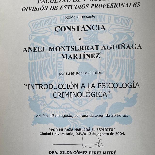 Ampliar imagen: certificate 8