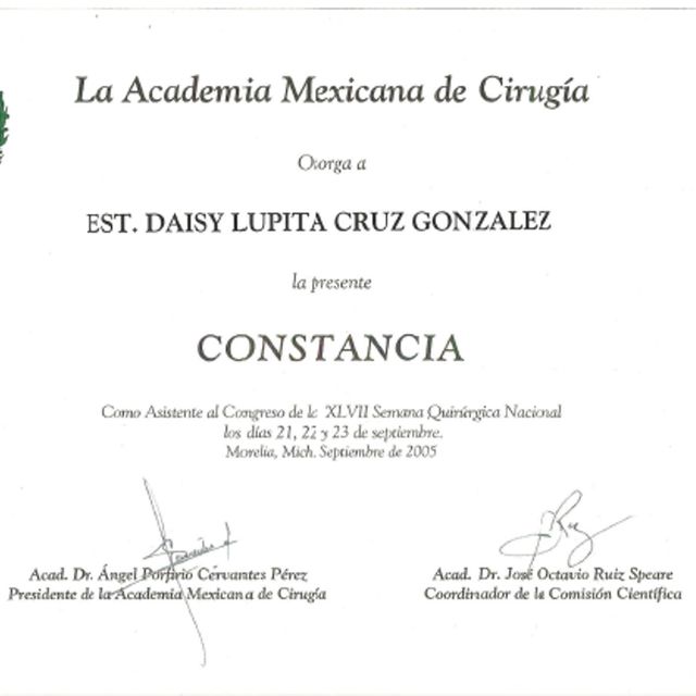 Ampliar imagen: certificate 5
