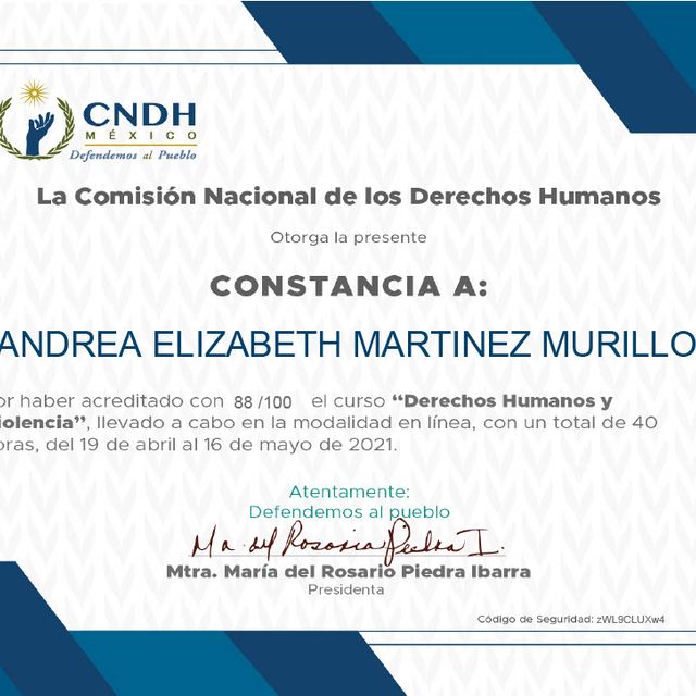 Ampliar imagen: certificate 3