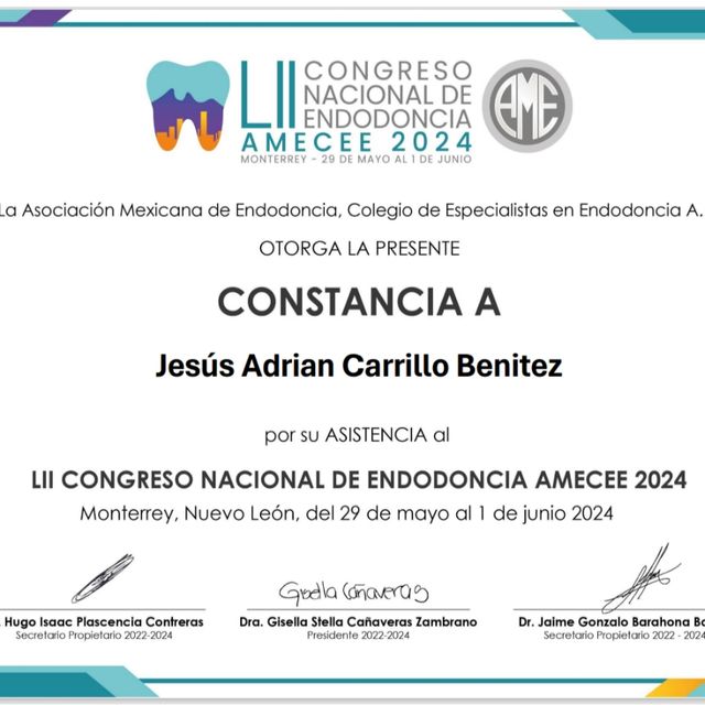 Ampliar imagen: certificate 5