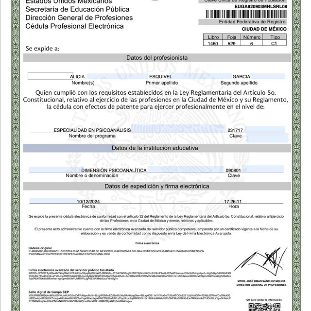 Ampliar imagen: certificate 2