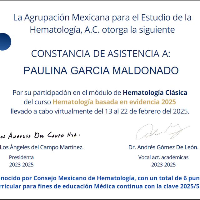 Ampliar imagen: certificate 4