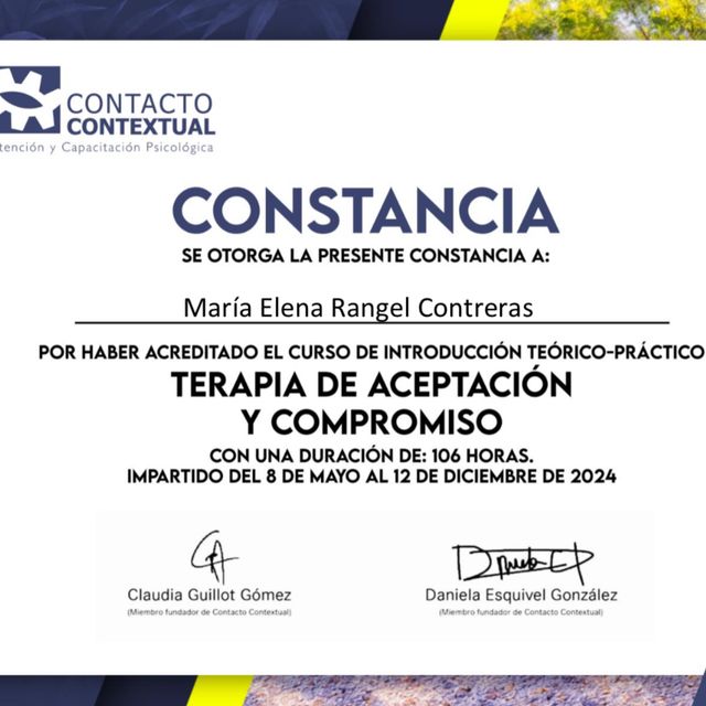Ampliar imagen: certificate 15