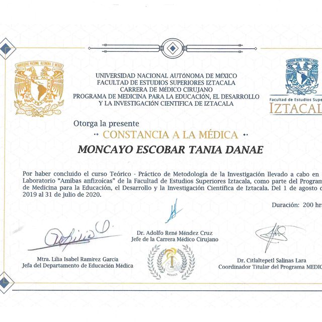 Ampliar imagen: certificate 16