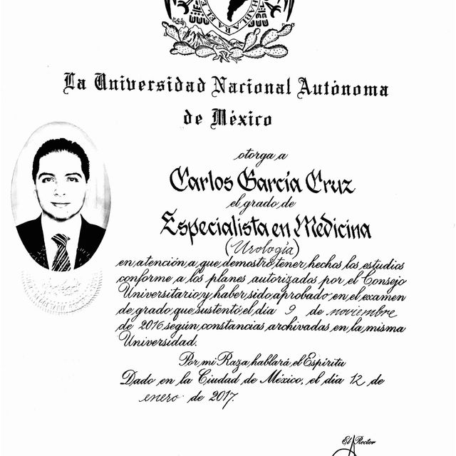 Ampliar imagen: certificate 5