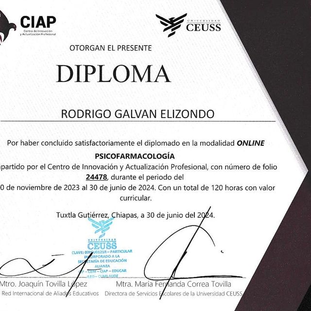 Ampliar imagen: certificate 2