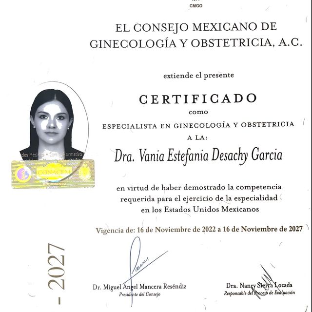Ampliar imagen: certificate 1