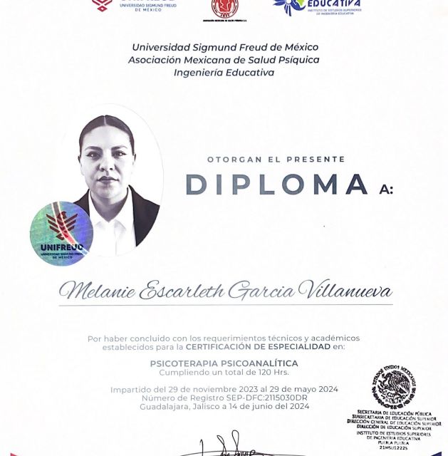 Ampliar imagen: certificate 1