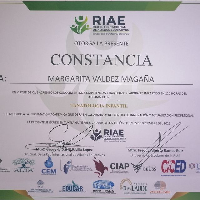 Ampliar imagen: certificate 4
