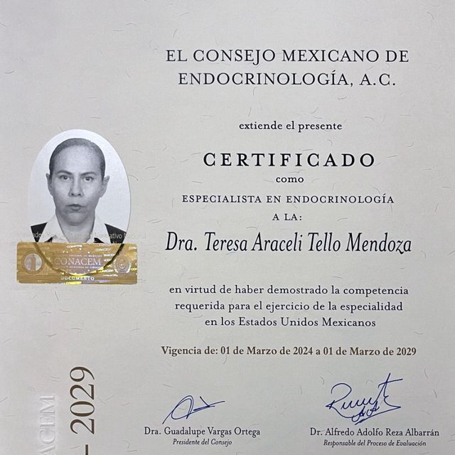 Ampliar imagen: certificate 2