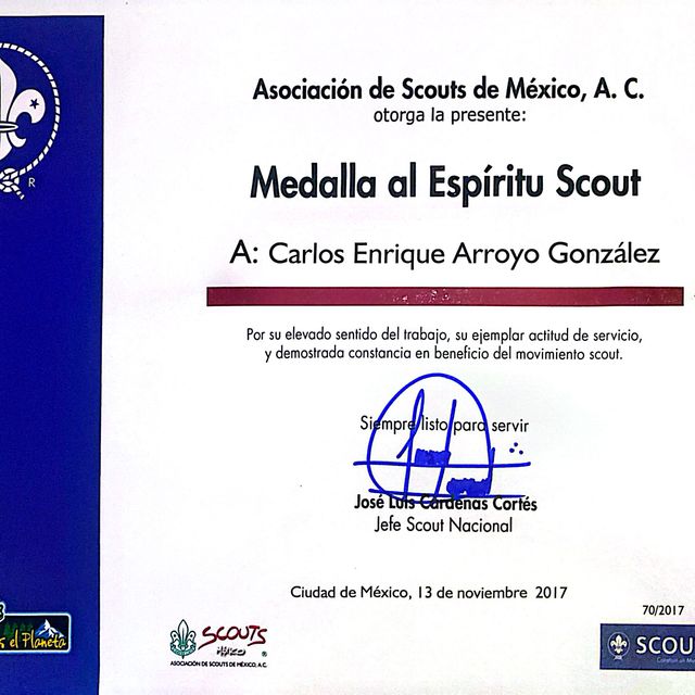 Ampliar imagen: certificate 25