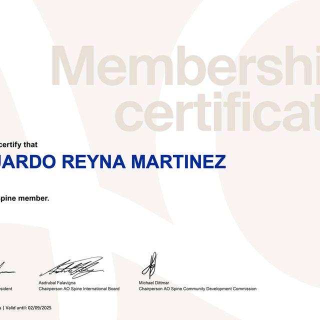 Ampliar imagen: certificate 4