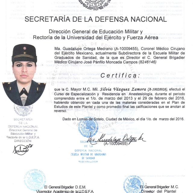 Ampliar imagen: certificate 3