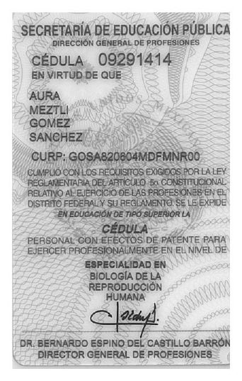 Ampliar imagen: certificate 9