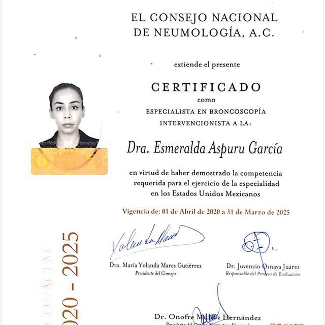 Ampliar imagen: certificate 6