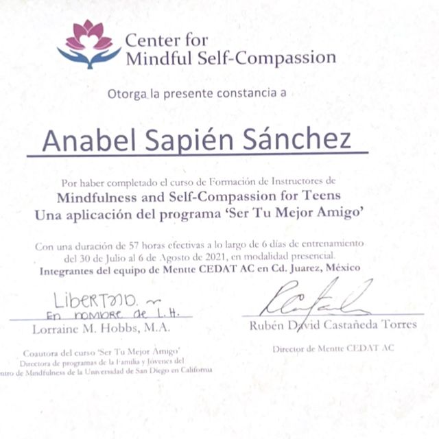 Ampliar imagen: certificate 3