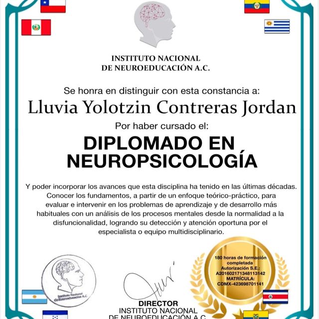 Ampliar imagen: certificate 11