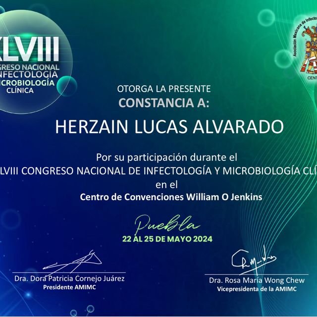 Ampliar imagen: certificate 4