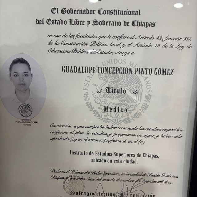 Ampliar imagen: certificate 3