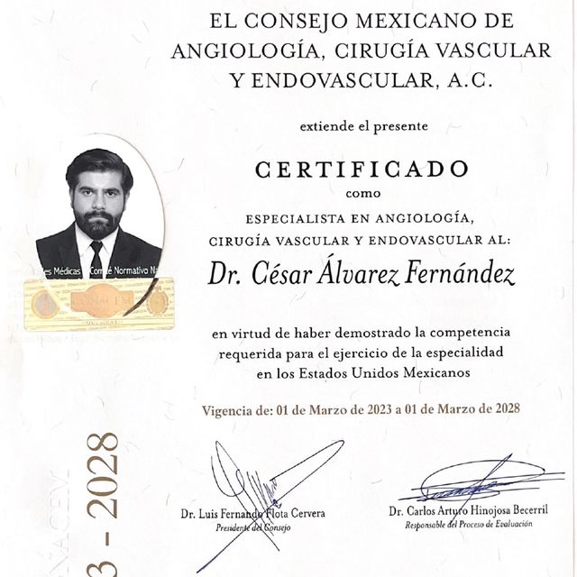 Ampliar imagen: certificate 1