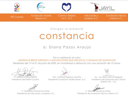 Ampliar imagen: certificate 3