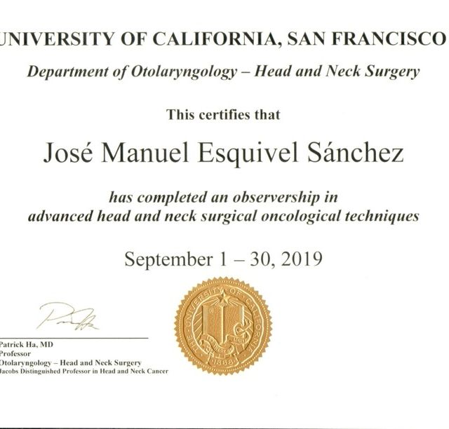 Ampliar imagen: certificate 4