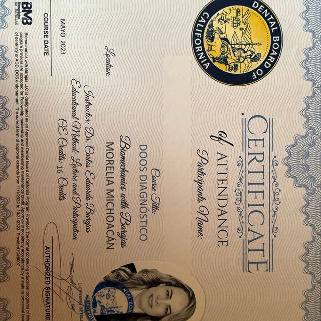 Ampliar imagen: certificate 5