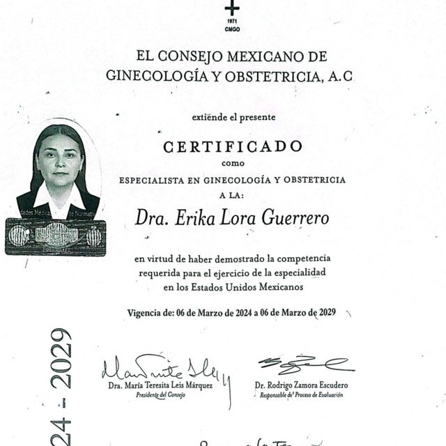 Ampliar imagen: certificate 3