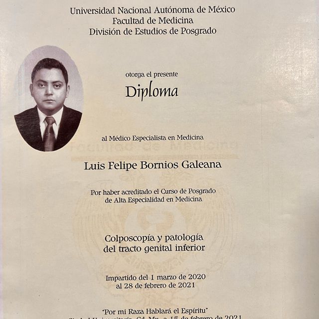 Ampliar imagen: certificate 3