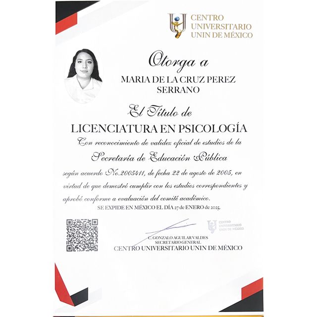 Ampliar imagen: certificate 1