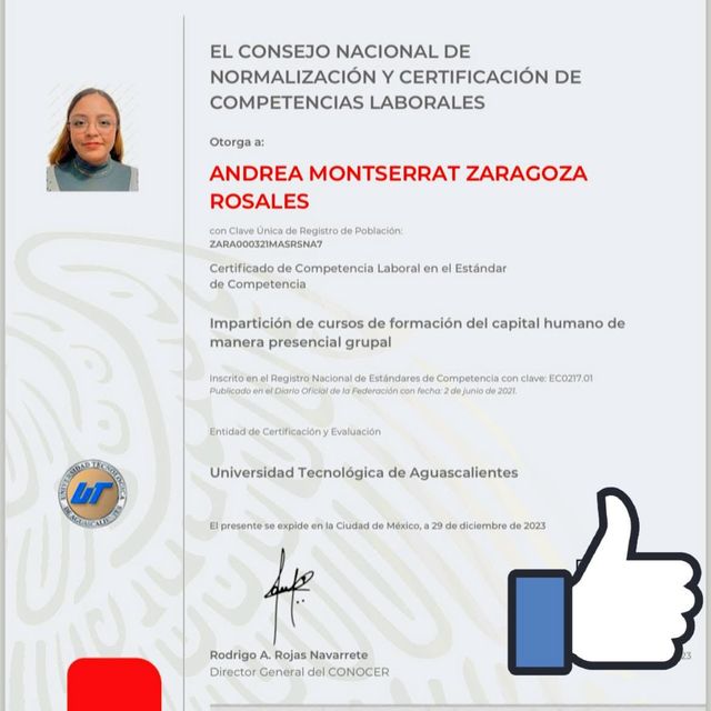 Ampliar imagen: certificate 8