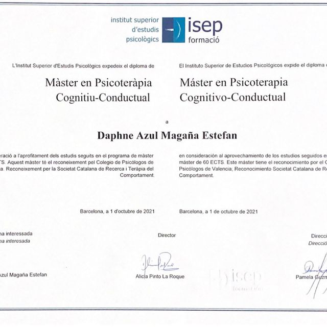 Ampliar imagen: certificate 1