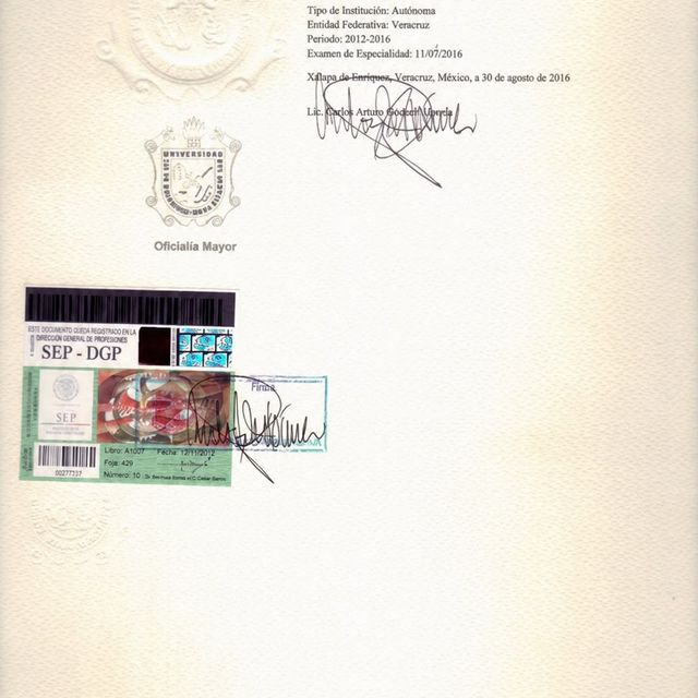 Ampliar imagen: certificate 3