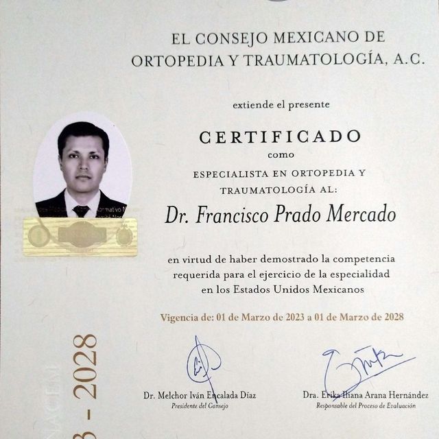 Ampliar imagen: certificate 5