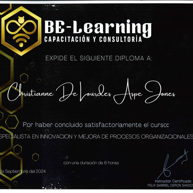 Ampliar imagen: certificate 4