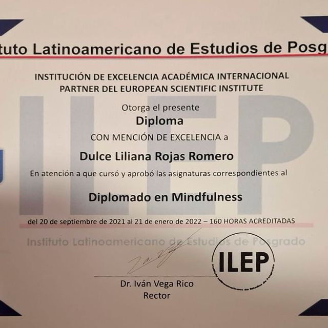 Ampliar imagen: certificate 3
