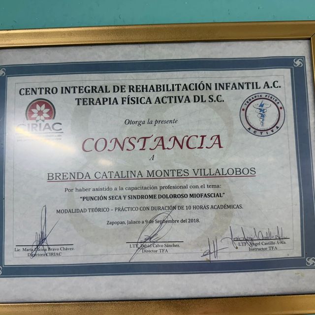 Ampliar imagen: certificate 9