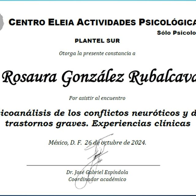 Ampliar imagen: certificate 6