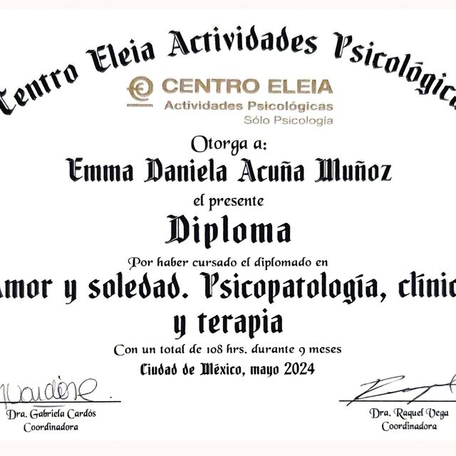 Ampliar imagen: certificate 1