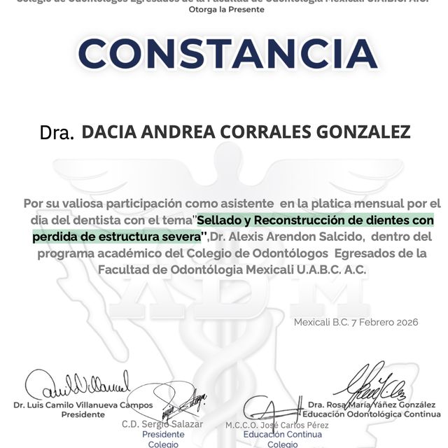 Ampliar imagen: certificate 1