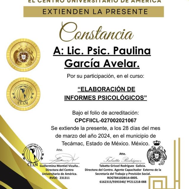 Ampliar imagen: certificate 4