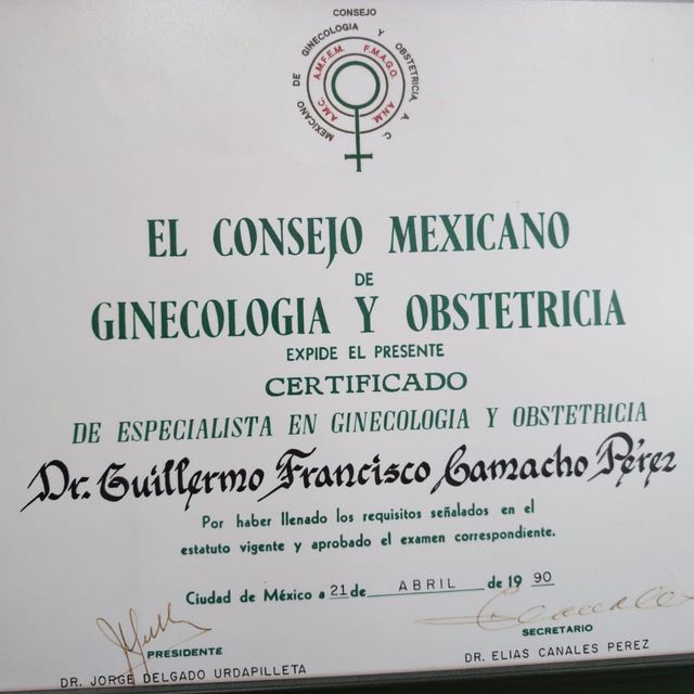 Ampliar imagen: certificate 7