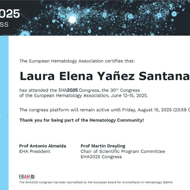 Ampliar imagen: certificate 26