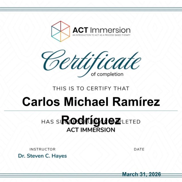 Ampliar imagen: certificate 8