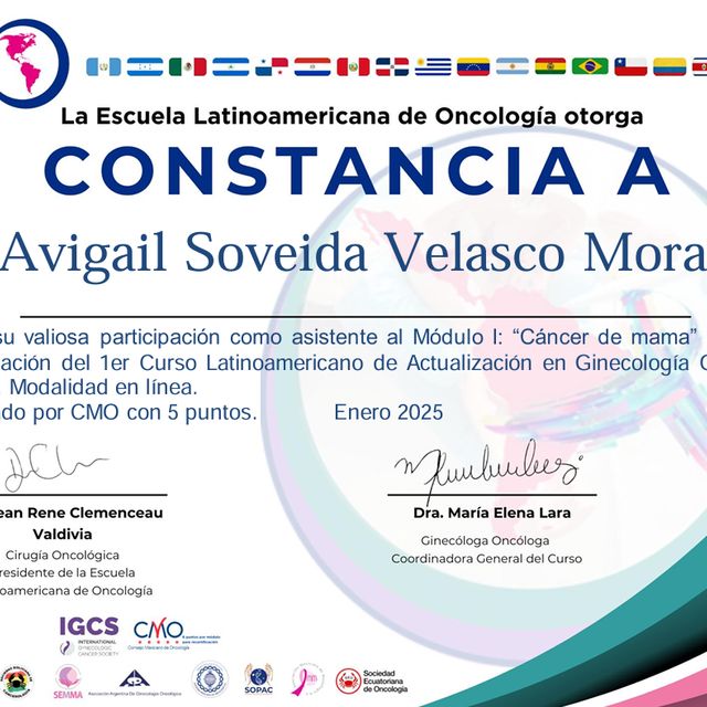 Ampliar imagen: certificate 2