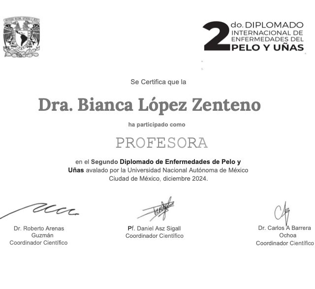 Ampliar imagen: certificate 5