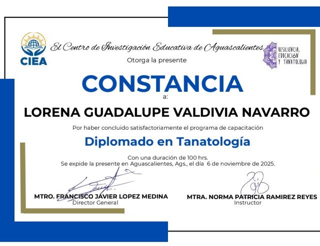 Ampliar imagen: certificate 2