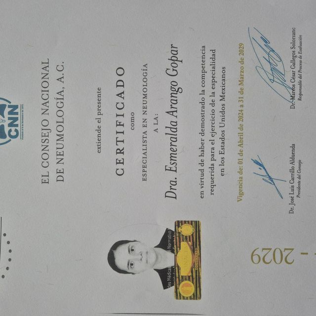 Ampliar imagen: certificate 1