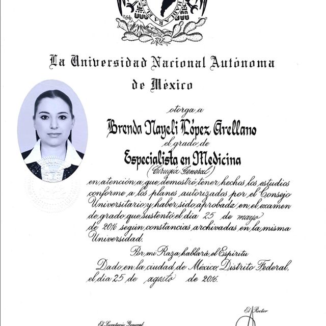 Ampliar imagen: certificate 2